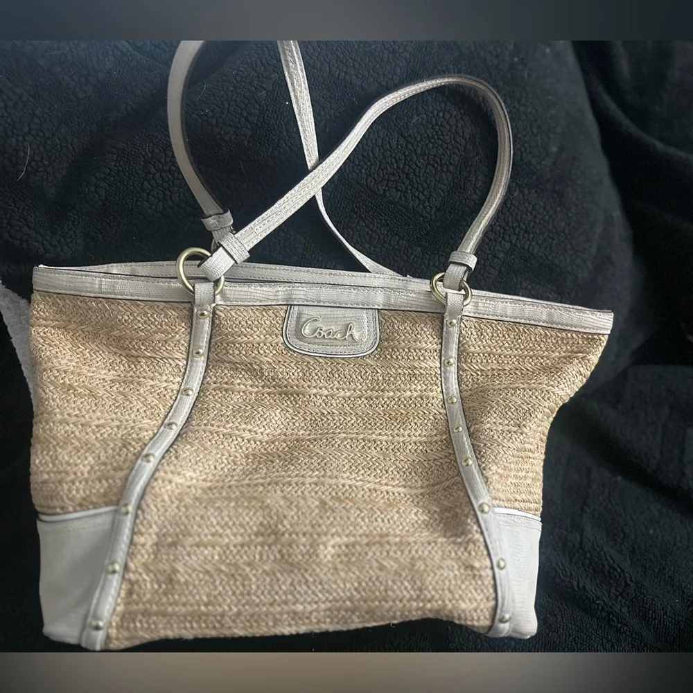 Coach Alexandra Python Straw Tote - Picture 4 of 13